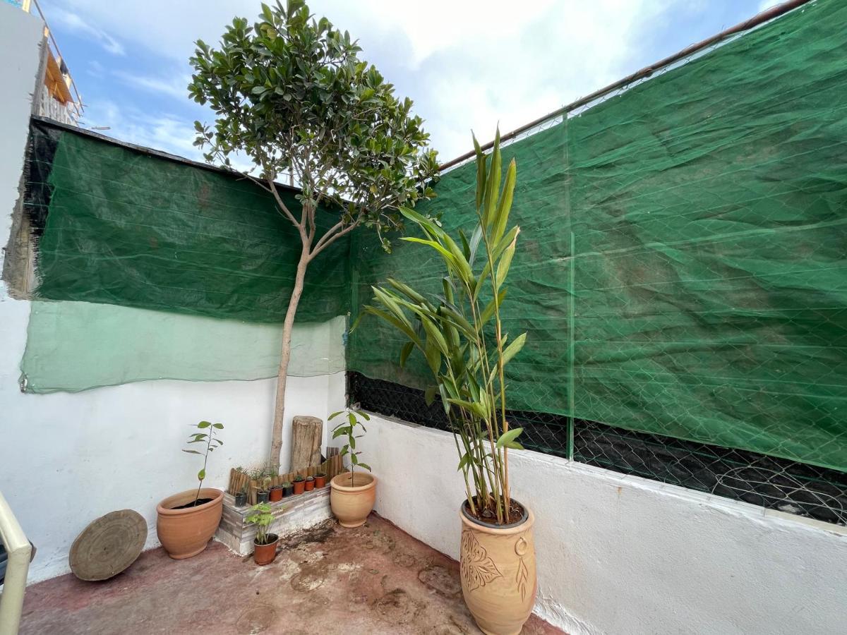 Jungle Surf House Pansiyon Taghazout Dış mekan fotoğraf