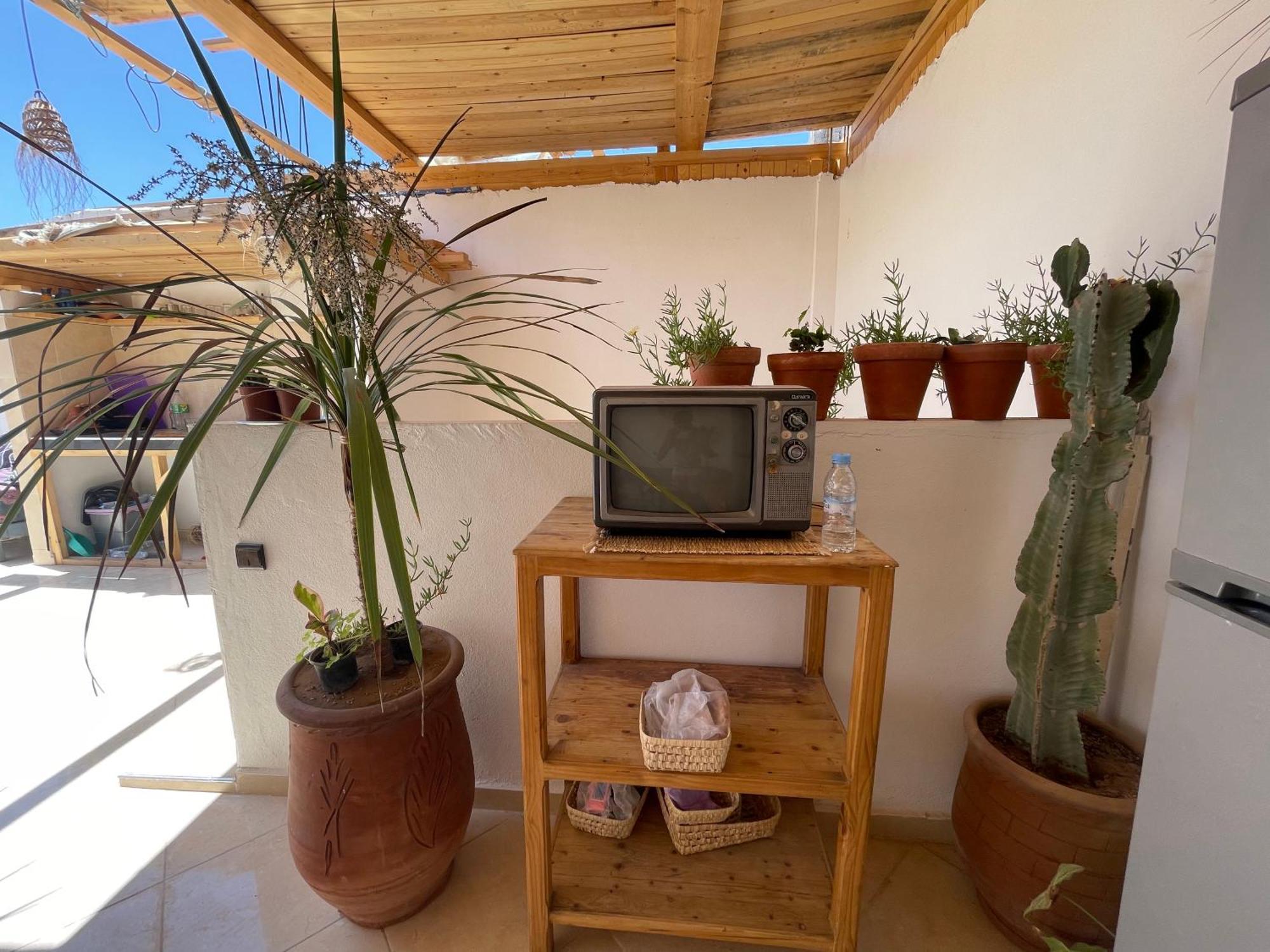 Jungle Surf House Pansiyon Taghazout Dış mekan fotoğraf