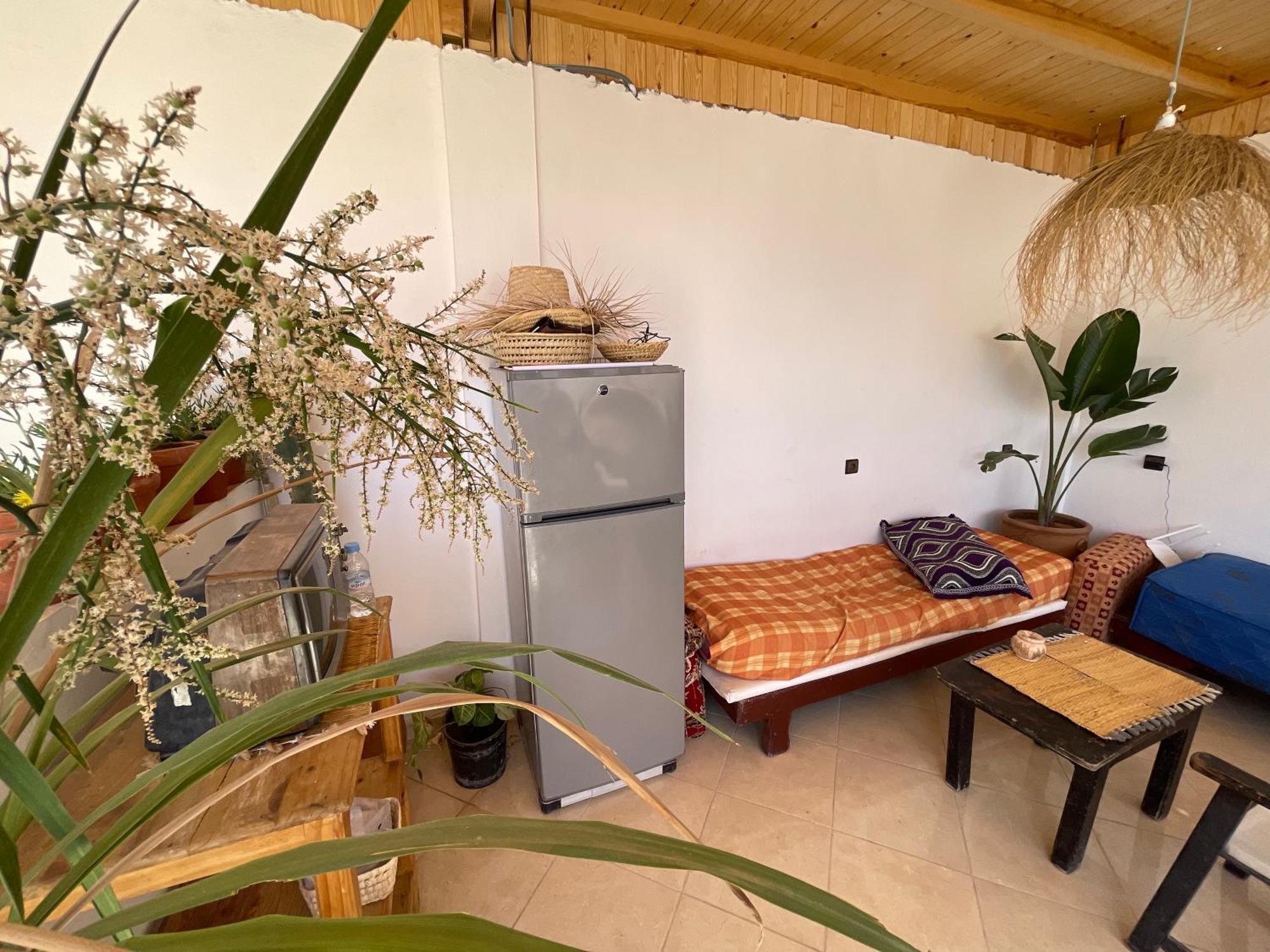 Jungle Surf House Pansiyon Taghazout Dış mekan fotoğraf